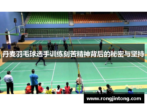 丹麦羽毛球选手训练刻苦精神背后的秘密与坚持