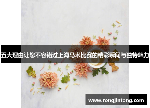 五大理由让您不容错过上海马术比赛的精彩瞬间与独特魅力