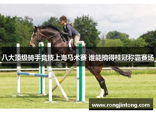 八大顶级骑手竞技上海马术赛 谁能摘得桂冠称霸赛场