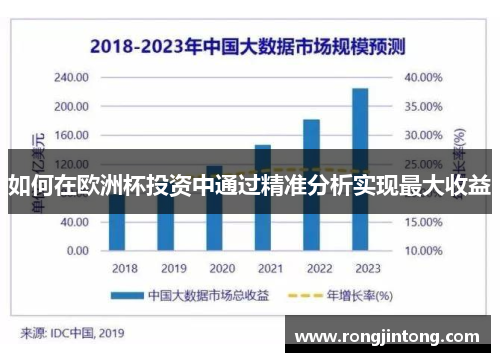 如何在欧洲杯投资中通过精准分析实现最大收益