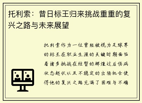 托利索：昔日标王归来挑战重重的复兴之路与未来展望